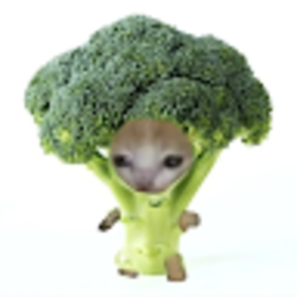 marvinhoang16